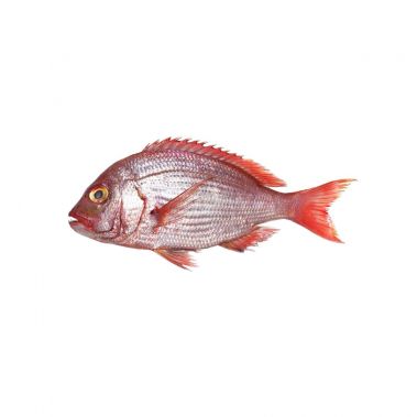 Riffahven punane (Red Snapper), roogitud, 2-4kg, jahut., 1*10kg