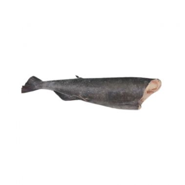 Must tursk (Sablefish), roogitud, peata, 1.8-2.3+kg, külm., IQF, 1*~22kg (n.k 22kg)