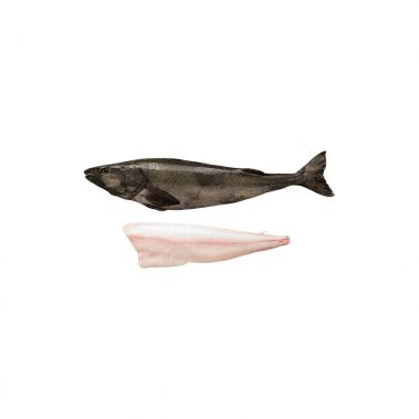 Must tursk (Sablefish), roogitud, peata, 2-3.5+kg, IQF, PPAC