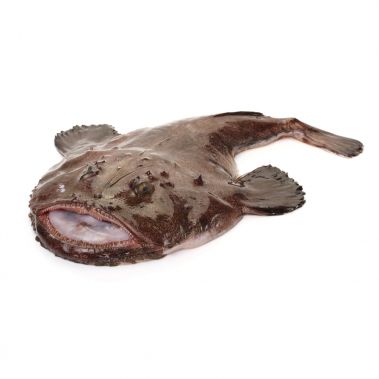 Merikurat roogitud (Monkfish), peaga, 3+kg, jahut.