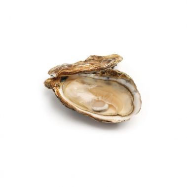 Austrid Creuses OYSRI 1 (100-120g), 48tk, Iirimaa