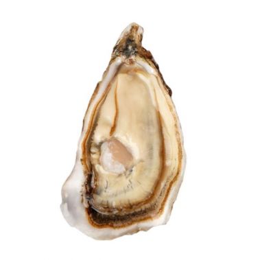 Austrid Creuses SUPREME 2 (80-100g), 12tk, Iirimaa