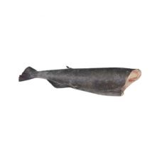 Must tursk (Sablefish), roogitud, peata, MSC, 2-3.5+kg, külm., IQF, 1*~22kg (n.k 20.9kg)