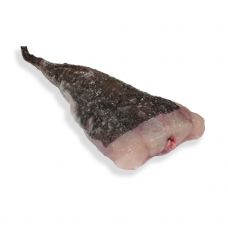 Merikurat roogitud (Monkfish tail), peata, 1-2kg, jahut.