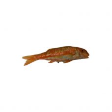 Meripoisur (Red mullet), rookimata, 100-200g, jahut., 1*3kg (Mullus Surmuletus)