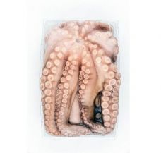 Kaheksajalg, 3-4kg, tray, külm., 1*~14kg, Hispaania