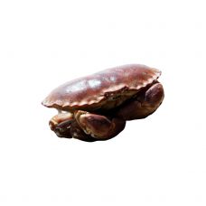Krabi pruun (Edible Crabs), elus, 800-1000g, Prantsusmaa