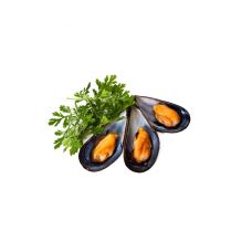 Karbid (Spanish mussels), 30/40, jahut., 1*3kg, (Mytilus edulis)