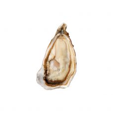 Austrid Creuses Muirgein 2 (80-120g), 24tk, Iirimaa